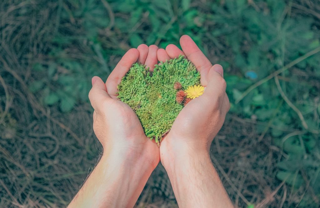 top benefits of carbon management