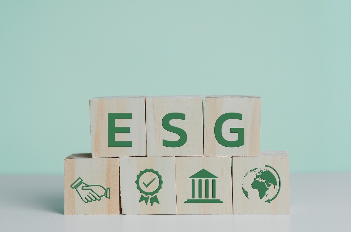 What is ESG in Sustainability and its Importance
