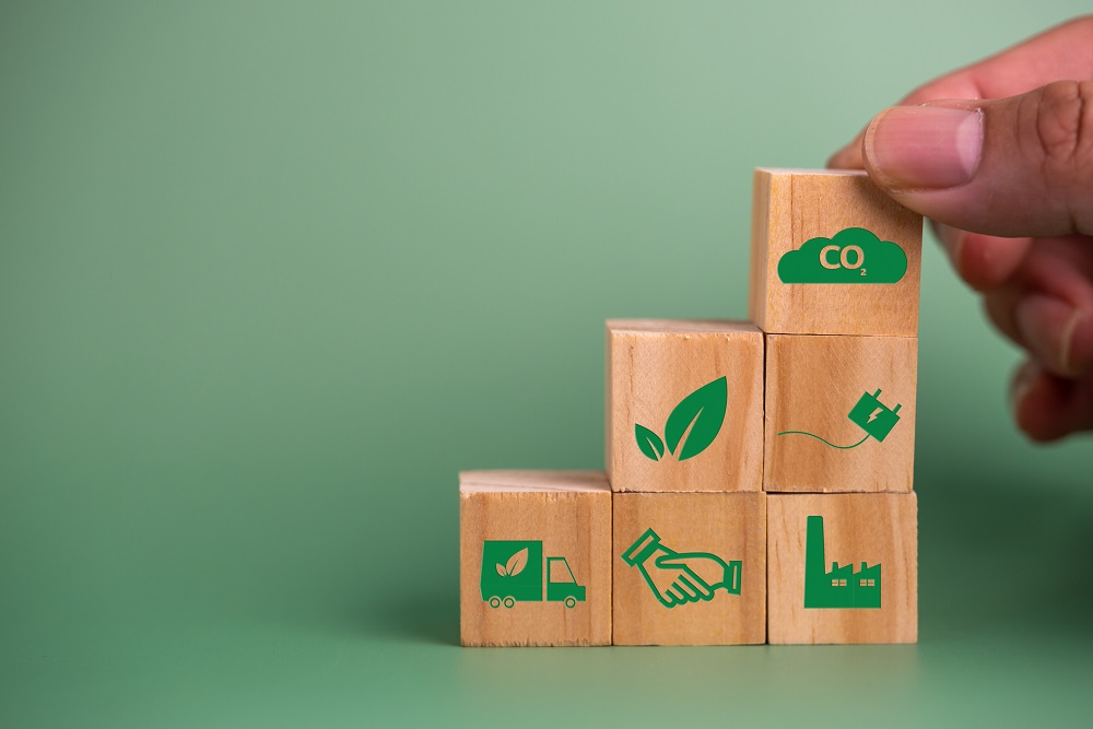 Importance of Supply Chain Sustainability For Businesses